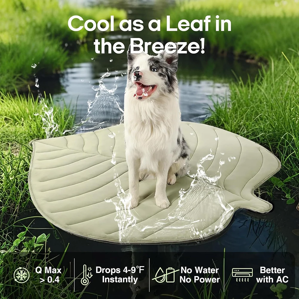 ขนาดใหญ่ล้างทำความสะอาดได้ Coo - Dog Cooling Mat บทวิจารณ์และราคา