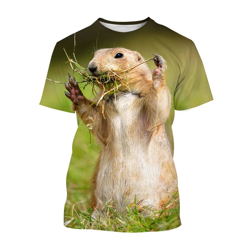 Animal Groundhog 3D Print T-Shirt Streetwear Men Summer Fashion Casual Oversized O-Neck Short Sleeved T Shirt Tees Tops Clothing