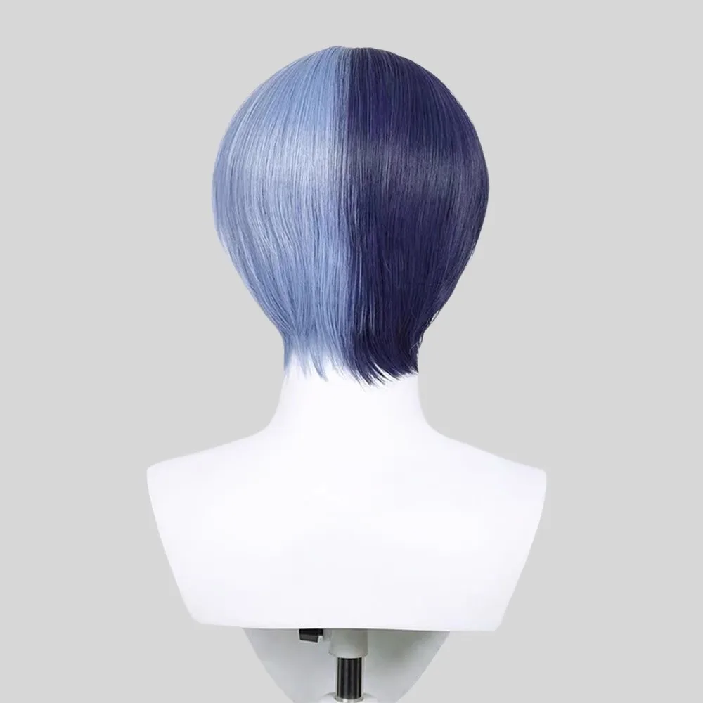 プロジェクトセカイ カラフルステージ 青柳トヤ コスプレウィッグ – 耐熱合成アニメヘア コーザースタイリング&コスチューム用