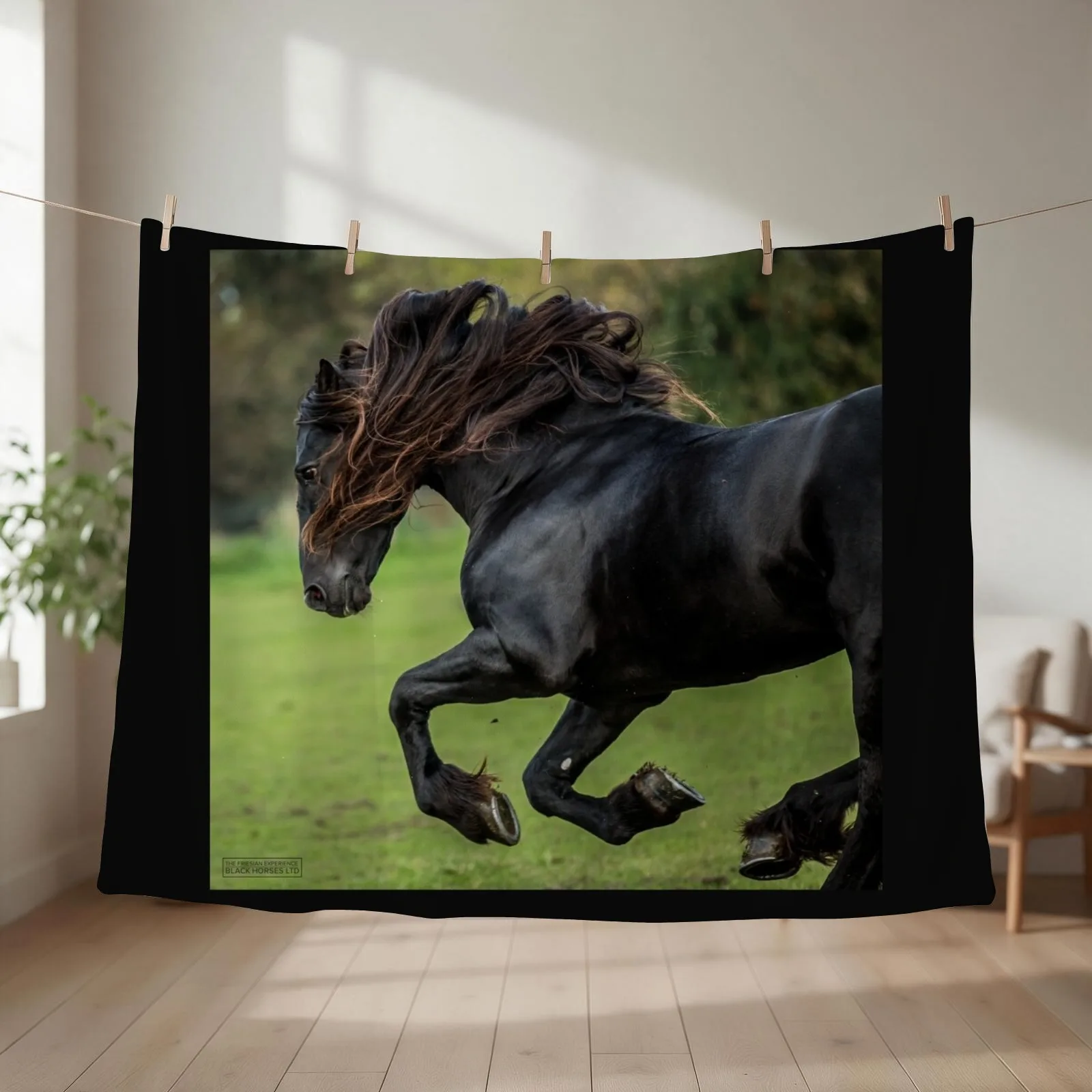 The Friesian Experience - Beautiful Black Beauty Friesian Horses Throw Blanket Nap Travel Blankets