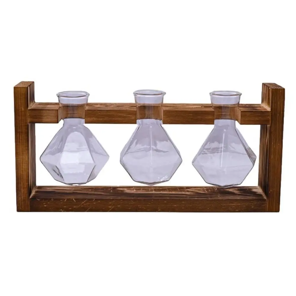 Bonsai Decor Hydroponic Plant Vase Creative Wooden Frame Combination Flower Pot Transparent Tabletop Tray Bonsai Flower Pot