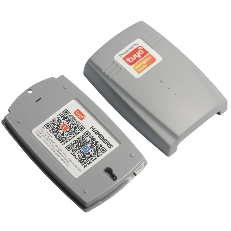1 Buah Pengendali Penerima 2 Saluran WiFi Nirkabel 12V 24V Cocok untuk Pintu Garasi Rana Bergulir Kode Tetap Remote Control Rekreasi