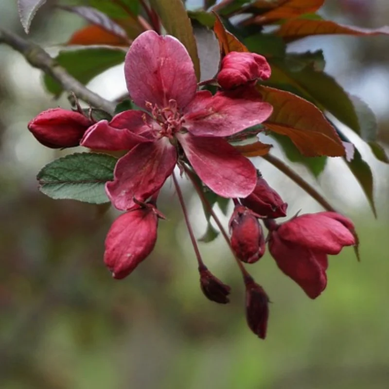 

Металлическая передняя и задняя ось шасси, тяга, крепление на боковую педаль, комплект шин 1/16, детали для обновления радиоуправляемого автомобиля для WPL 1/16 C64