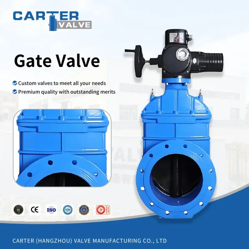 

Industrial Flange Gate Valve GGG50 WCC CF8 CF3, Bevel Gear Actuator for Natural Water Steam Oil Pipeline ANSI JIS OEM