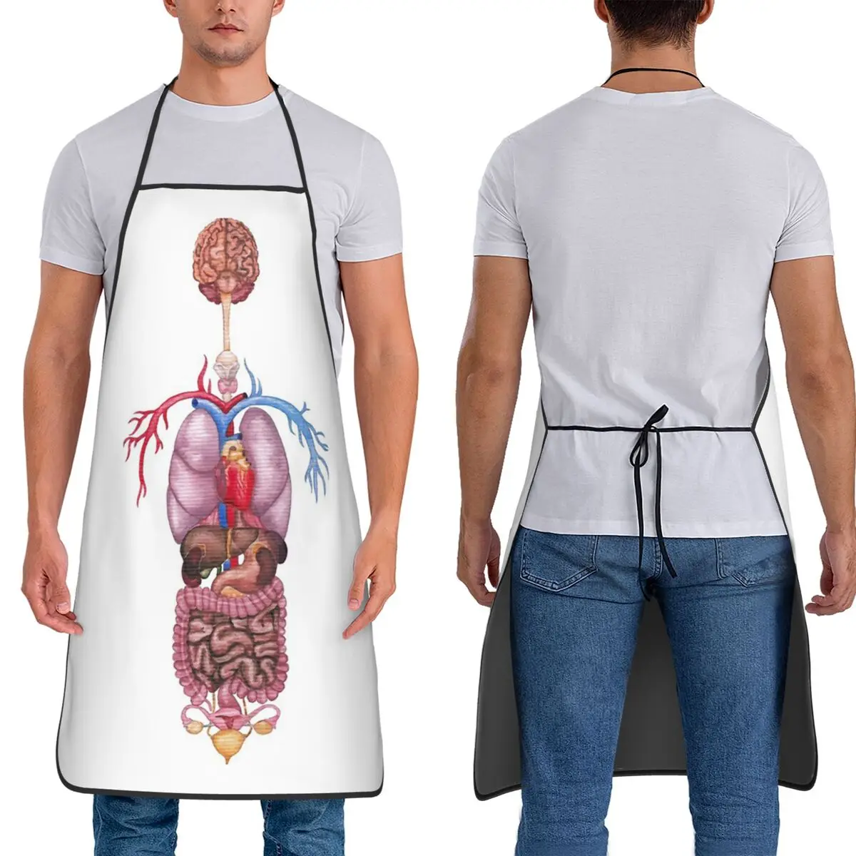 

Watercolor Female Internal Organs And Cardiovascular System Aprons Chef Baking Tablier Sleeveless Bib Kitchen Cleaning Pinafore