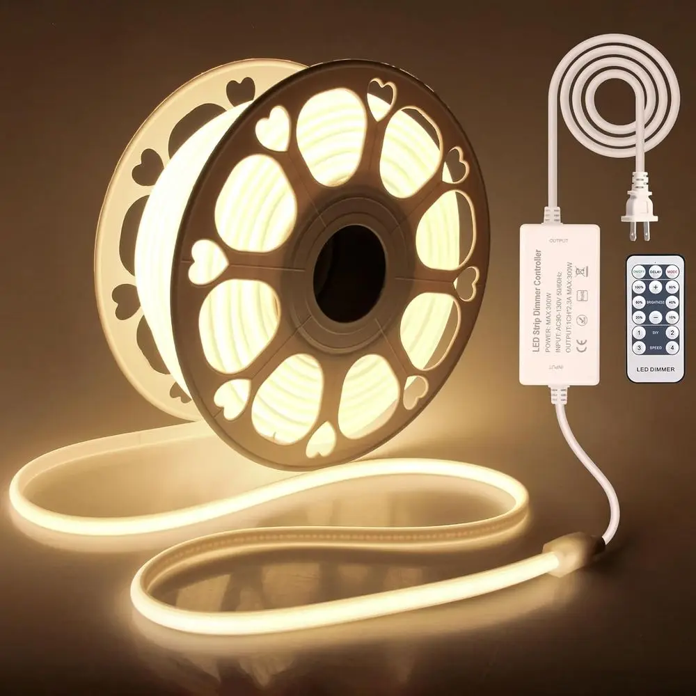 

Outdoor Waterproof LED Rope Lights 100ft, 110-120V, Warm White 3000K, Dimmable with Remote