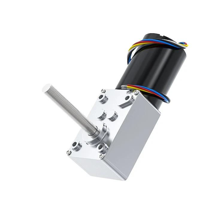 5840-3650-M8 12V/24V High-Torque Threaded Long-axis Turbine Worm DC Reduction Brushless Motor, Capable of Forward and Reverse