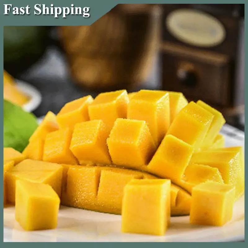 -MEOF Stainless Steel Fruit Cutter Corer Dicer Fruit Slicer Multifunctional Fruit Core Removal Tool