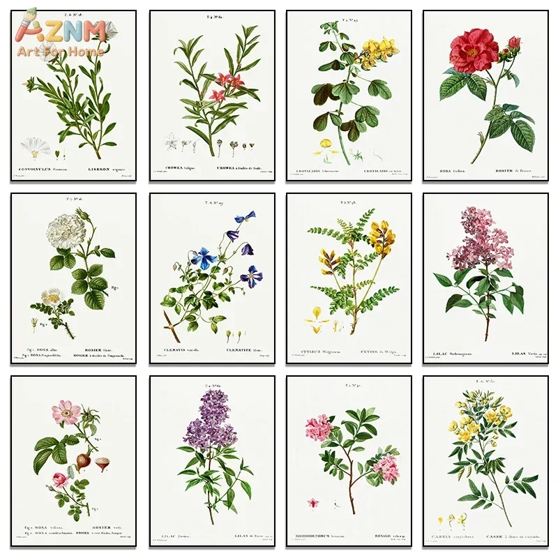 AZNM Vintage Botanical Flower Canvas Wall Art Antique Floral Scientific Illustration Herbarium Poster Home Decor Unframed Painti