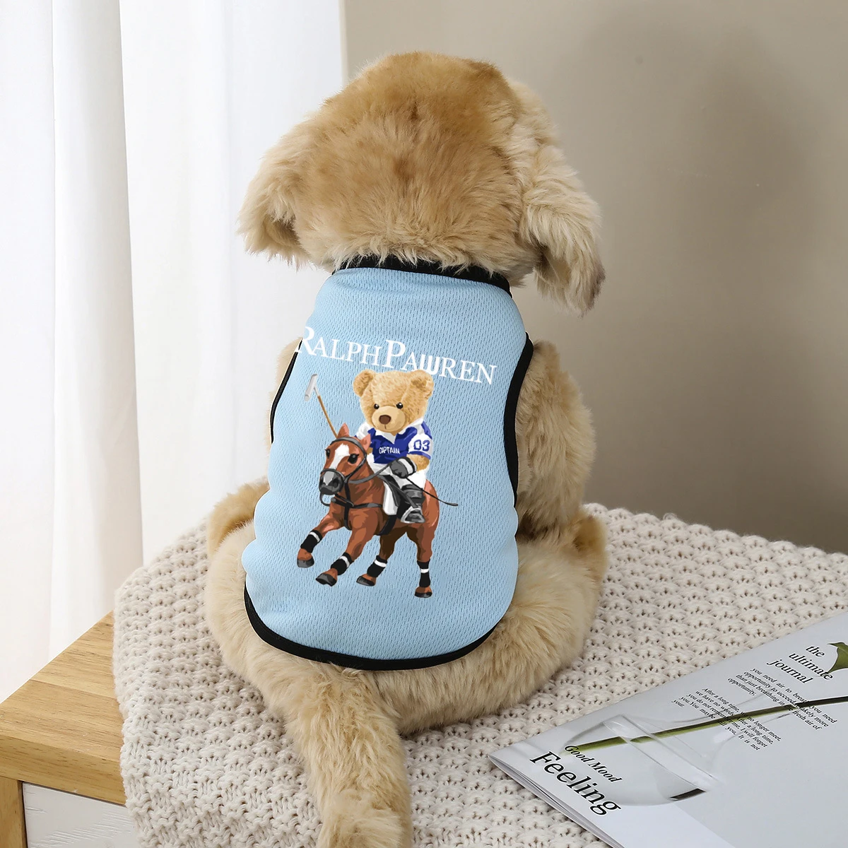 Summer Pet Dog Clothes Mesh Thin Dogs Vest Cute Bear For Small And Medium Chihuahua French Bulldog Pure Cotton T-shirt Puppy