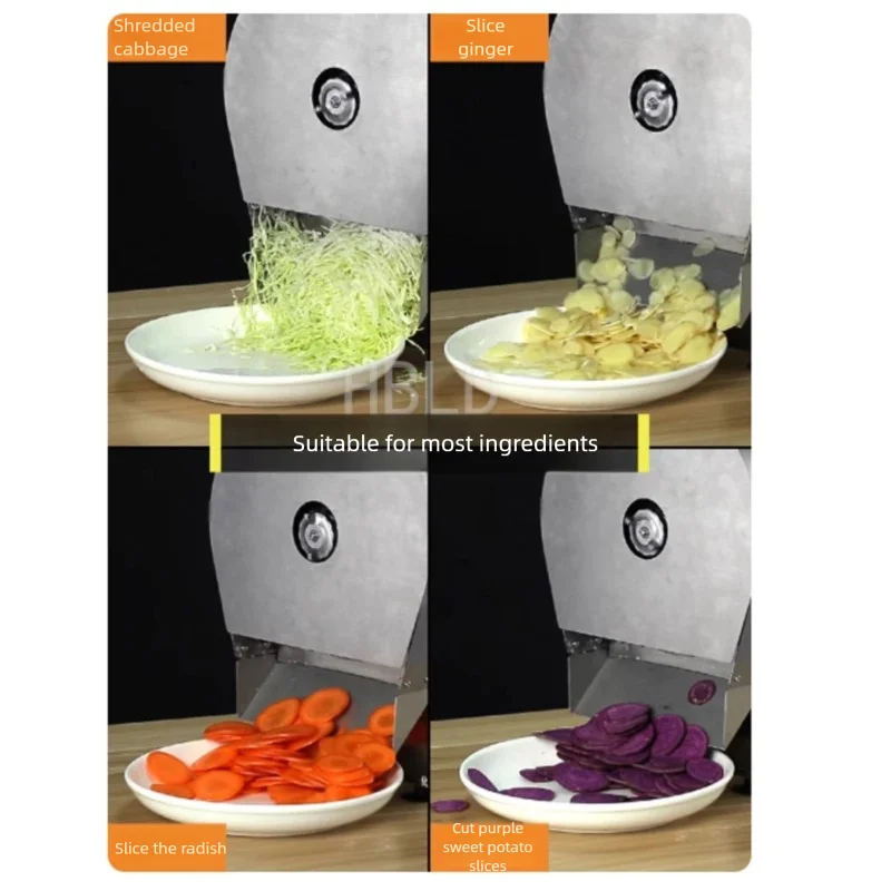 220V Electric Vegetable Slicer Multifunctional Kitchen Carrot Cutting Machine Stainless Steel Lemon Slicer for Household Use