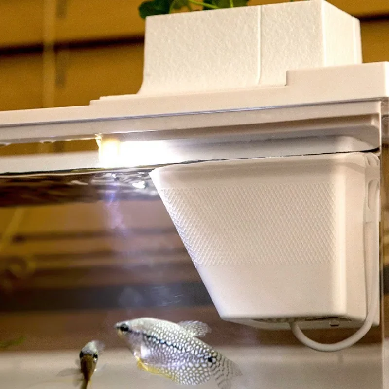 حوض أسماك استوائي صغير على سطح الطاولة فانوس سمك الطاووس الأسماك العائلية وترشيح الروبيان نظام المياه المتداولة الصامت