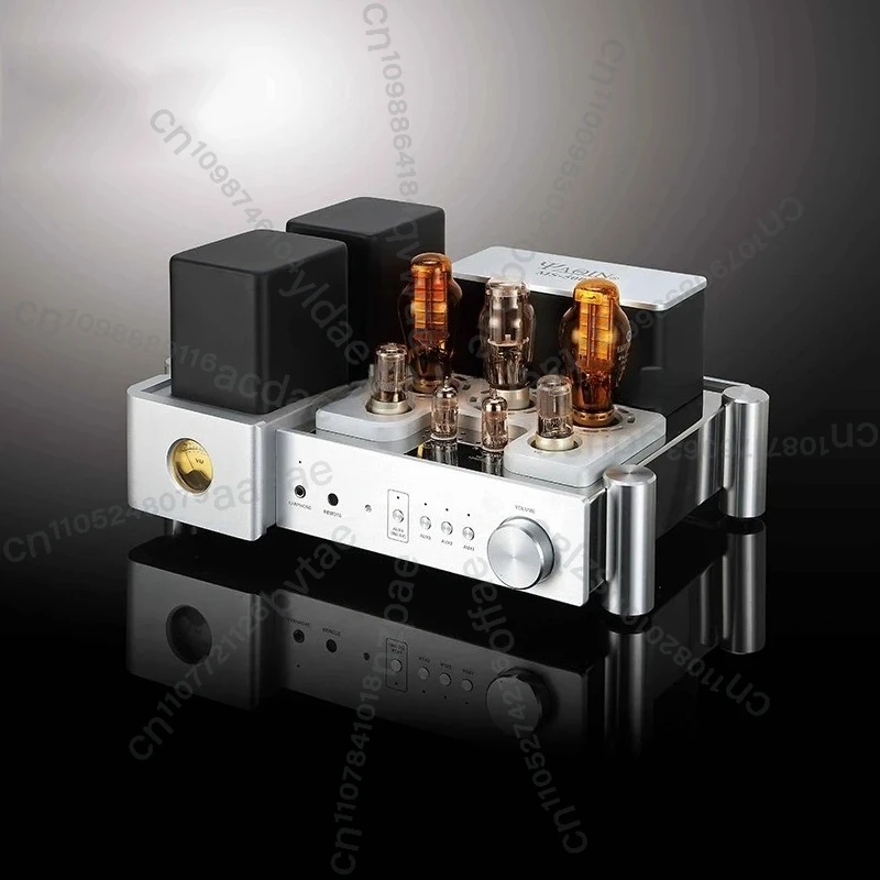 

Вакуумный ламповый усилитель мощности MS-500B, 300B-T, 1 шт.