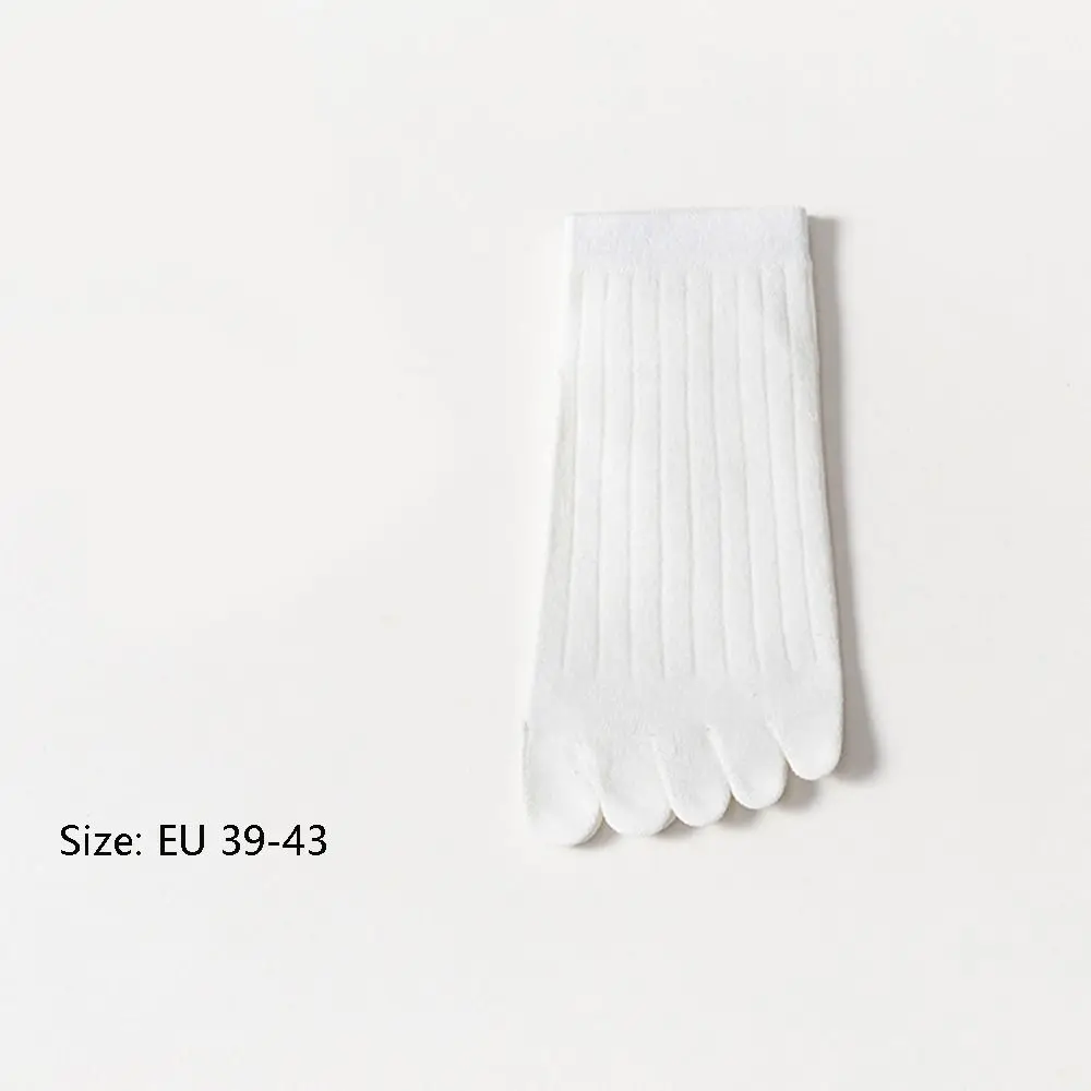 Calzini a cinque dita in cotone traspirante No Show Calzini sportivi da uomo che assorbono il sudore Calzini antiattrito a tubo corto alla caviglia Sport