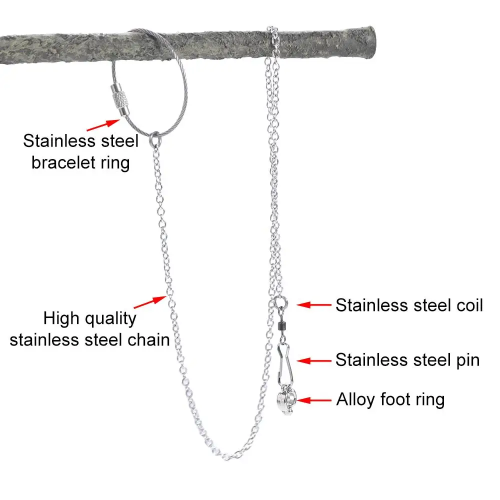 Silver Stainless Steel Cockatiel Starling Pigeon Outdoor Bird Stand Ankle Parrot Foot Ring Parakeet Foot Chain Bird Accessories