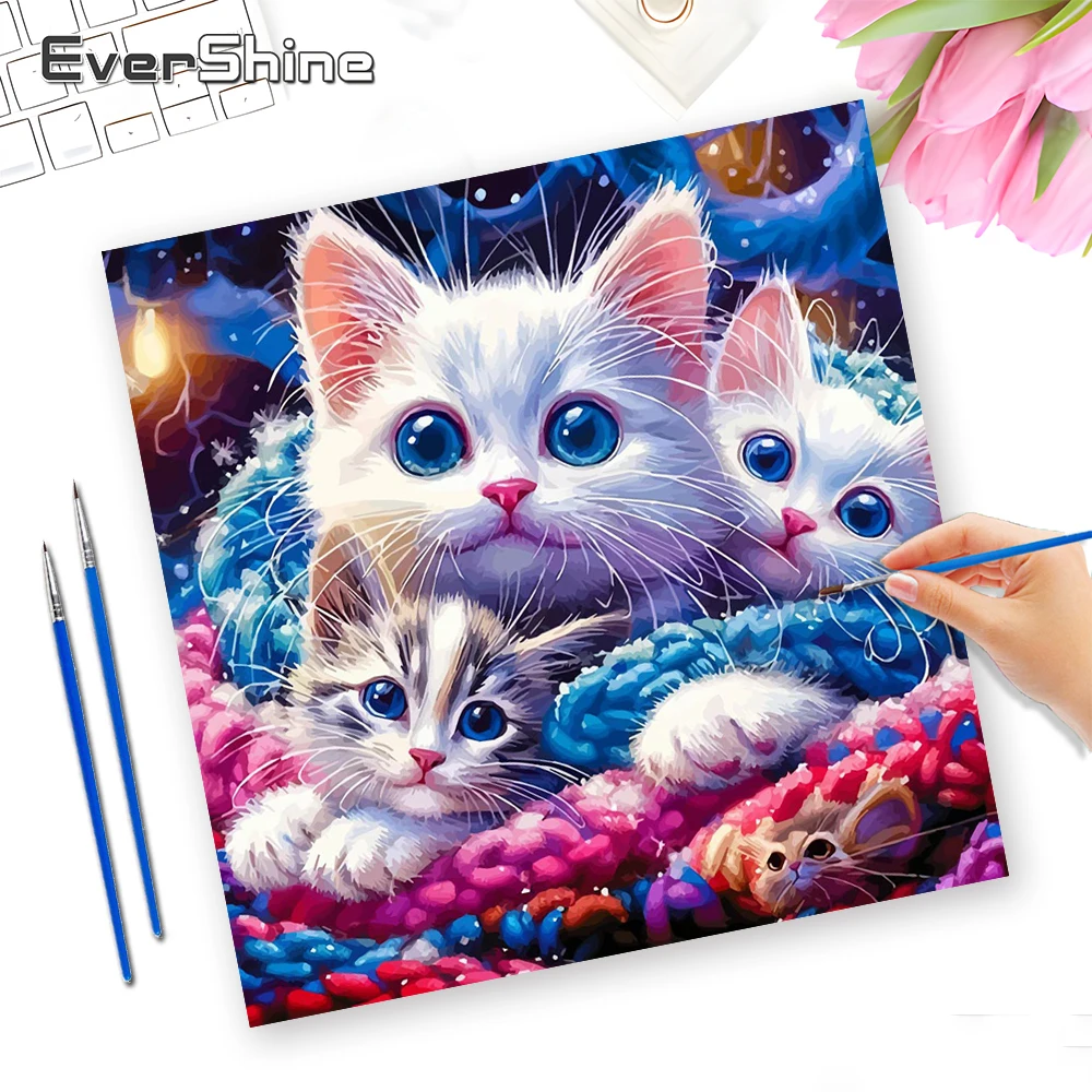 Evershine Coloring …