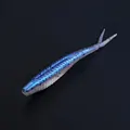 Blue 10pcs