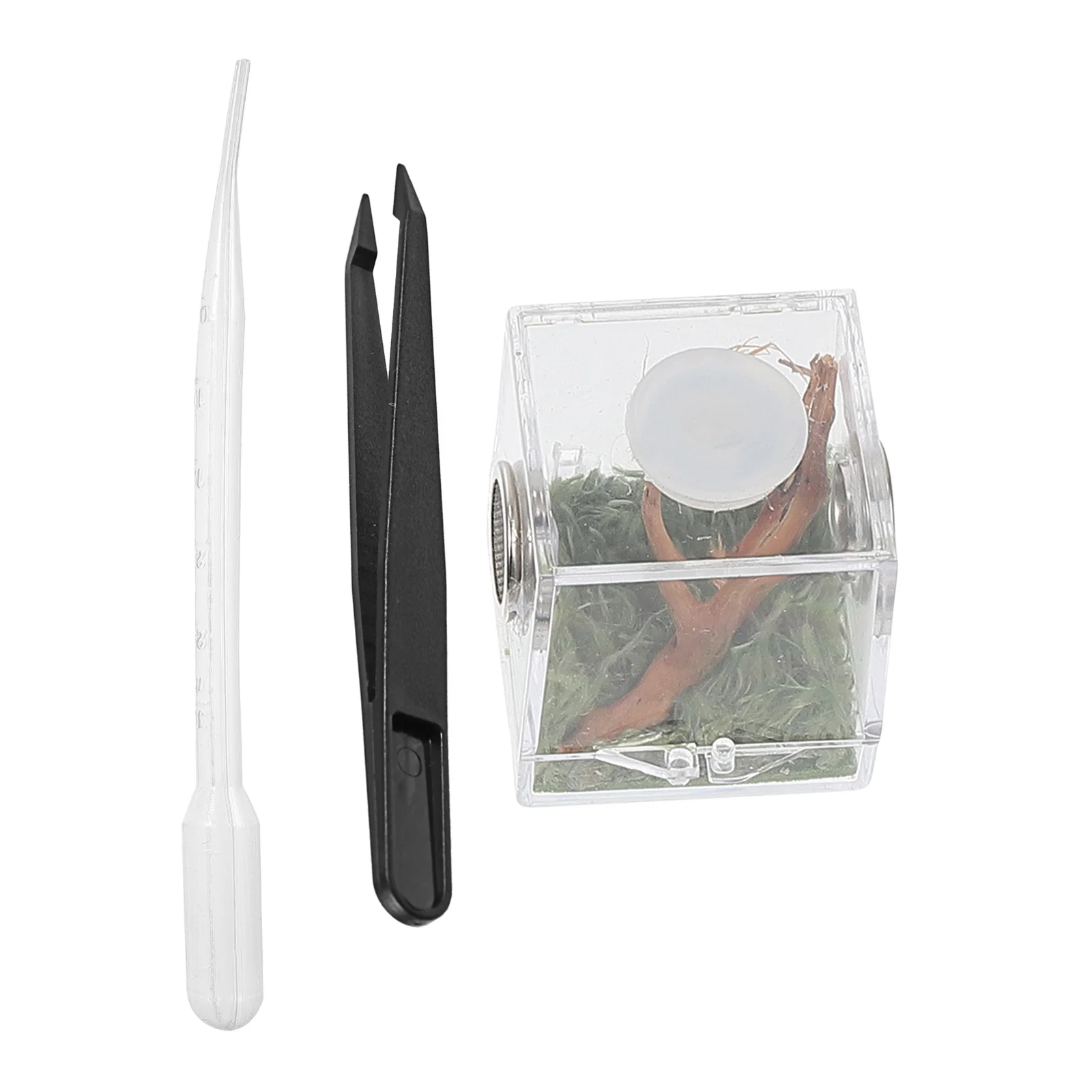 

1Set Reptile Acrylic Feeding Box Transparent Wear-Resistant Reptile Breeding Box Ventilated Spider Hatching Container Pet Cage