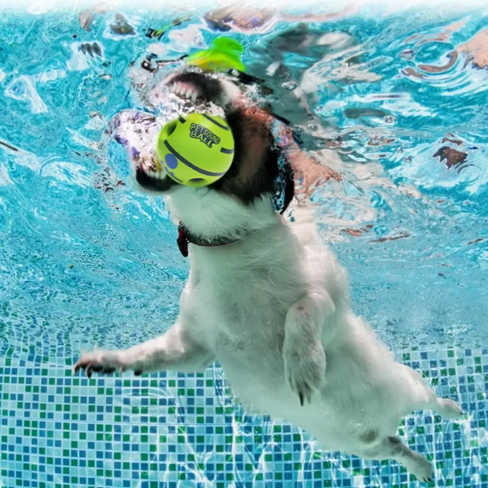 

Durable Dog Ball Interactive Fun Sounds Chew-Resistant Wear-resistant Bite-resistant Puppy Wrestling Getting Dog Attention