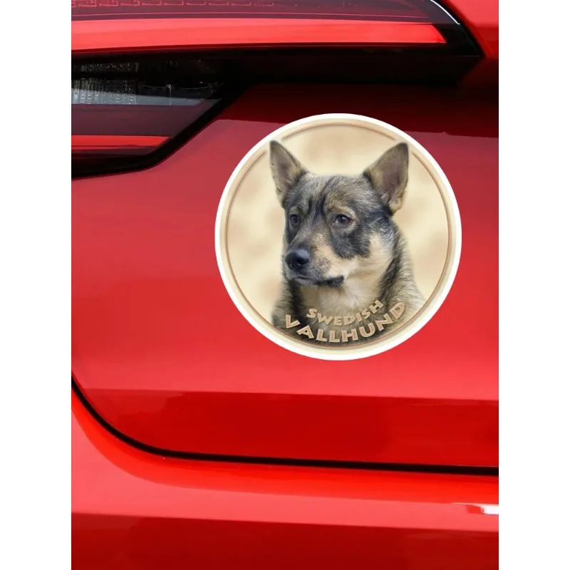 ملصق سيارة على شكل كلب Vallhund سويدي من أجل ممتص الصدمات للنافذة الخلفية والكمبيوتر المحمول والثلاجة والمرحاض 13 سم PVC KK