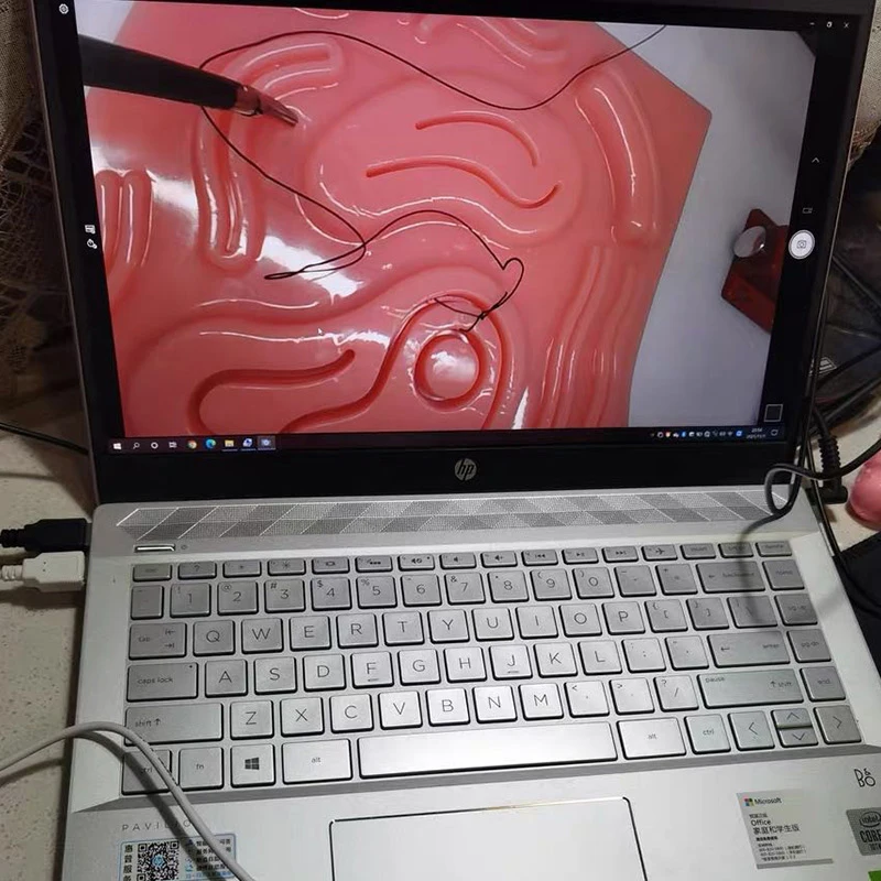 Caméra HD rigide pour laparoscope, endoscope USB, utilisation pour la formation