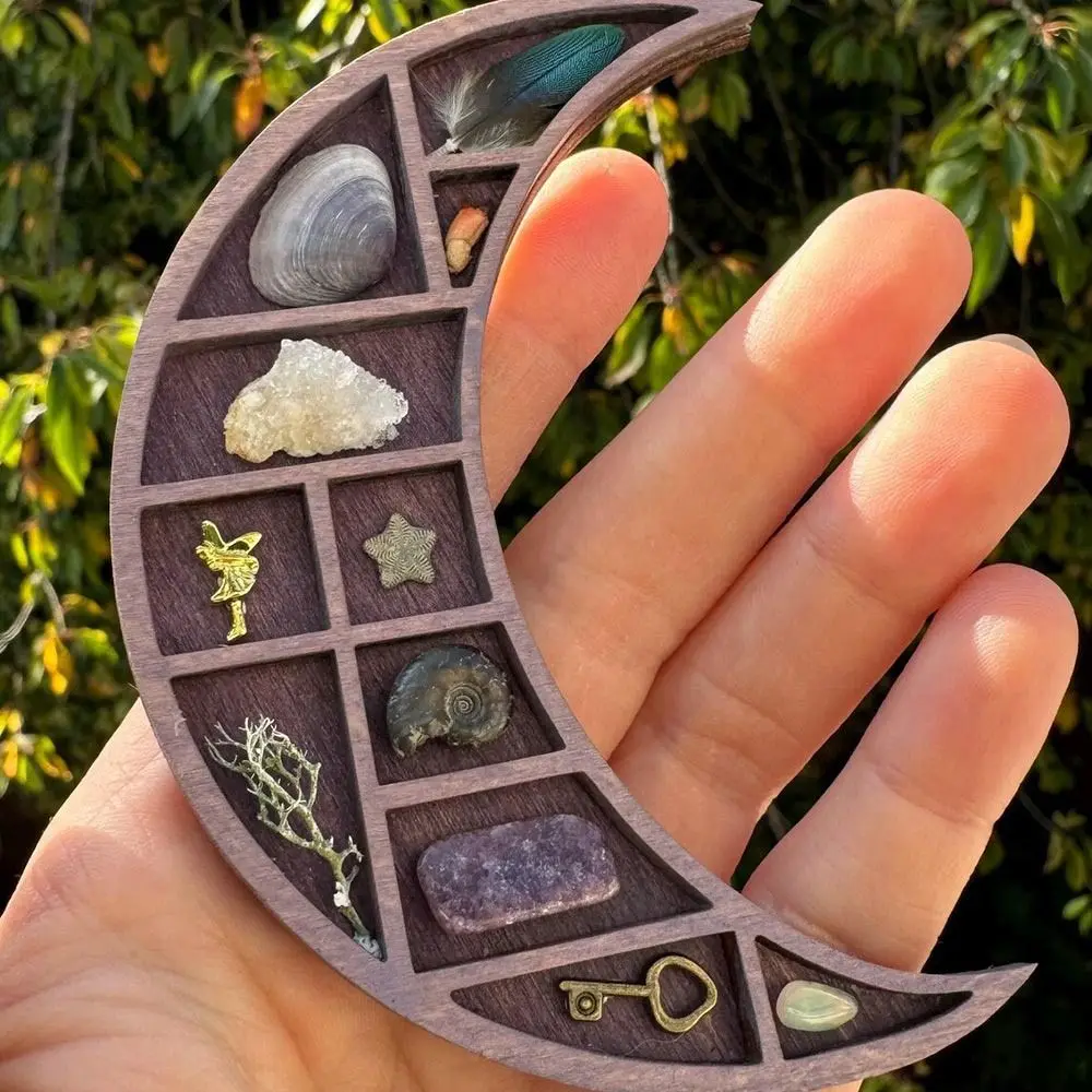 Multicolor Miniature Trinket Shelf Heart Star Nut Moon Mushroom Mini Jewelry Holder Compartments Variety Grids
