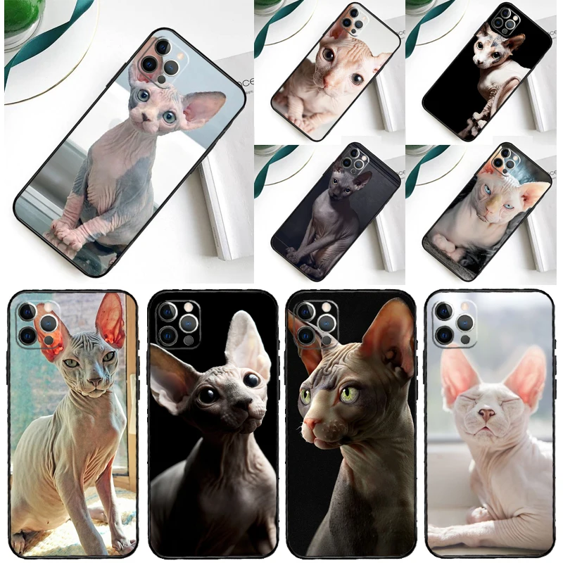 Sphynx Cat For Samsung Galaxy A55 A54 A35 A15 A34 A14 A53 A33 A13 A05 A06 A16 A22 A32 A52 Phone Case