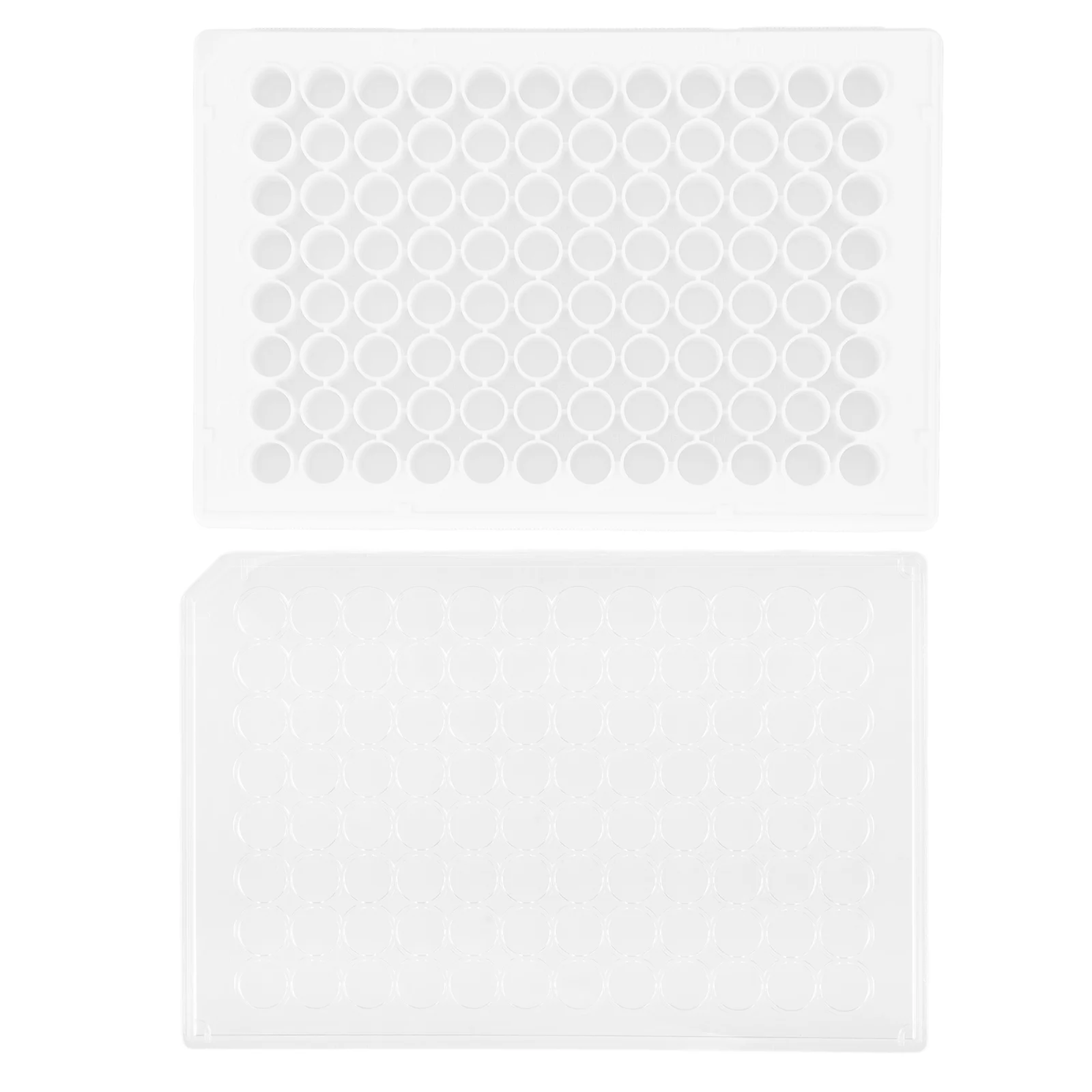 Bacterial Culture Plate Cell for Lab Tissue Tool Tray Laboratory Equipment Tools