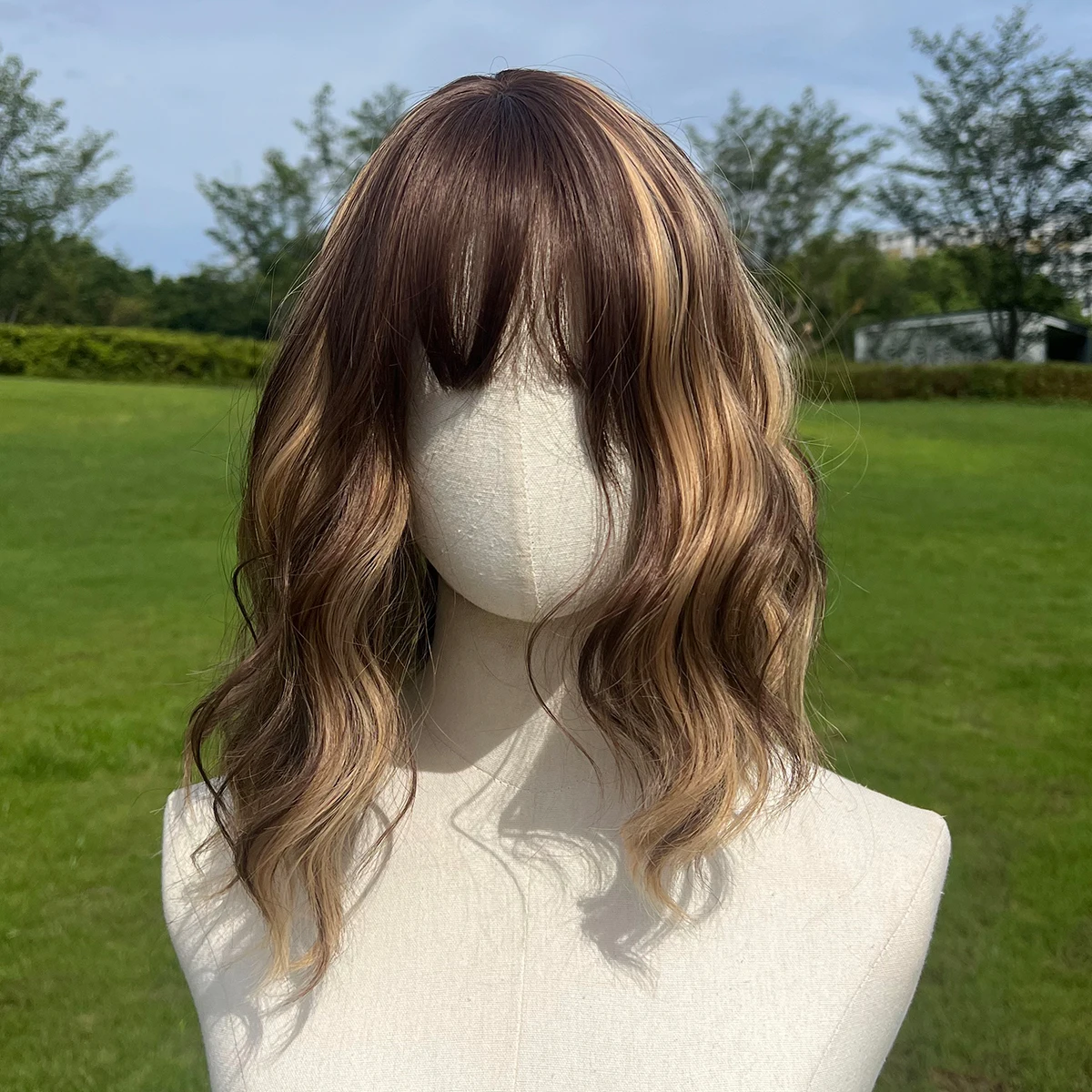 

Daily Brown Black Gradient Lolita Role-Playing Wig Heat-Resistant Fiber Short Curly Wig Natural Curly Women's Wig