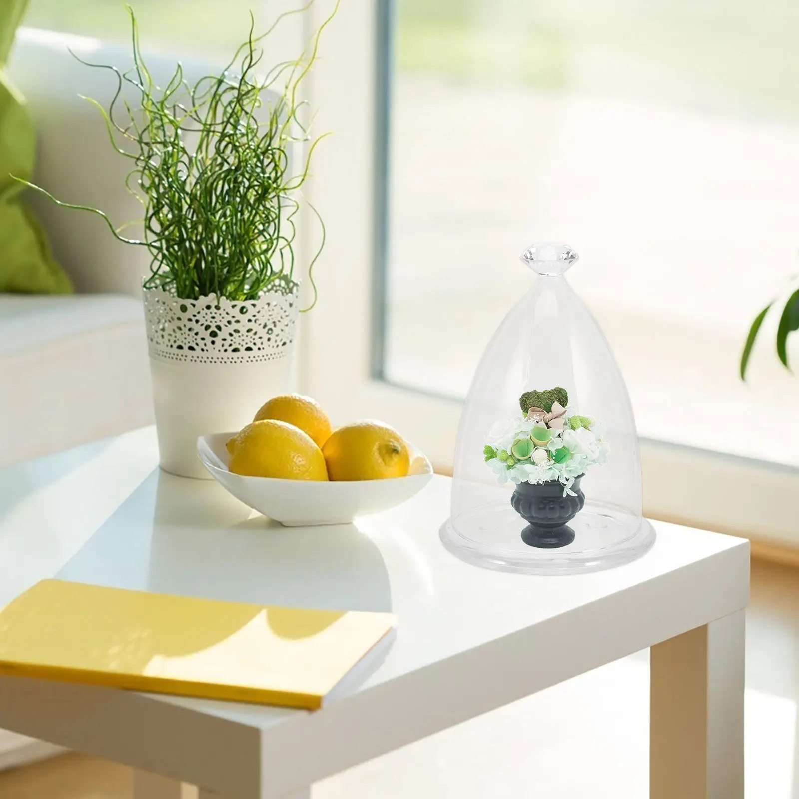 

Clear Glass Dome with Base Preserved Flower Display Cover Floral Decoration Glass Display Dome for Desktop Use