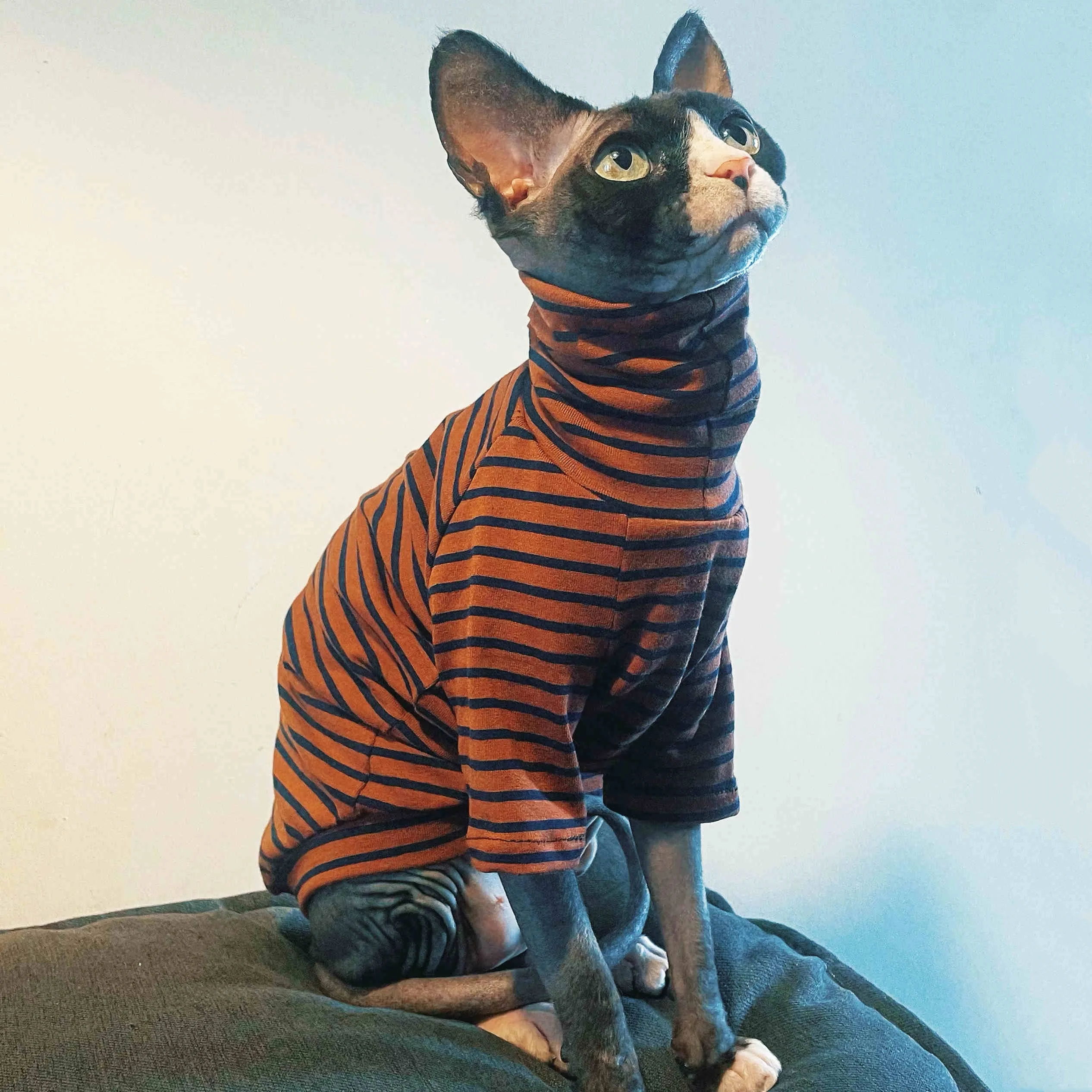 Sphynx Cat High-Neck Striped Coffee T-shirt Long Sleeves Spring Cotton Coat for Hairless Cat Skin-friendly Loungewear for Kitten