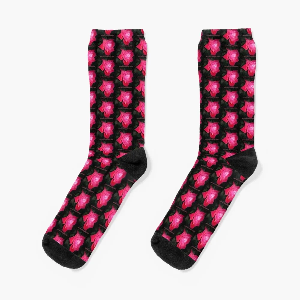 Dark Knockout Rose Socks golf Climbing warm winter sheer Socks Male Women's