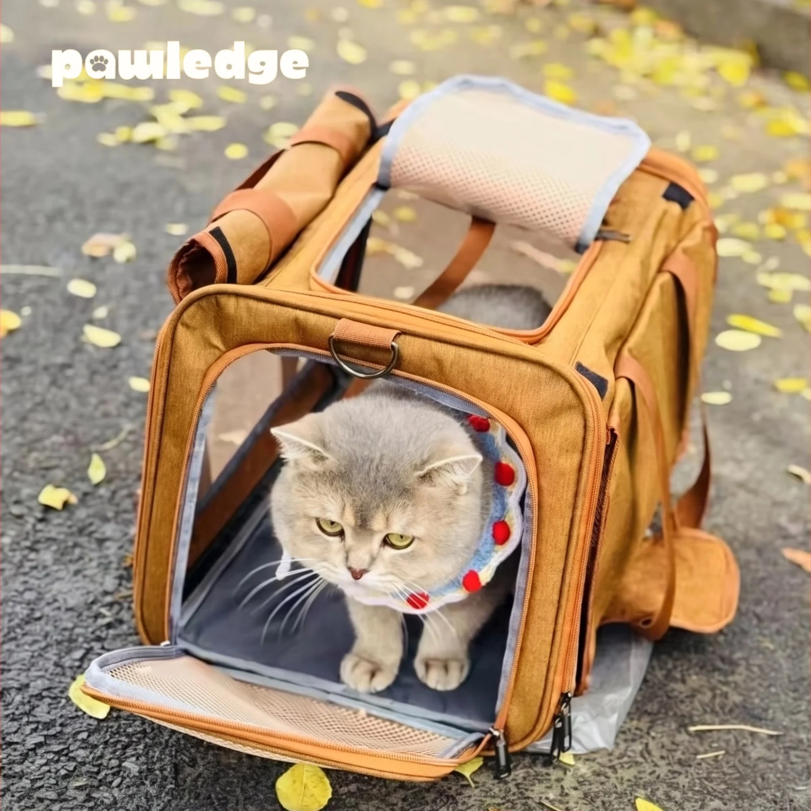 foldable-pet-carrier-bag-breathable-large-capacity-mesh-tote-with-large-opening-shoulder-travel-bag-for-cats-and-small-dogs