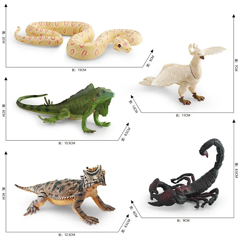 Figurines d'action miniatures d'iguane verte, phénix, scorpion, lézard à cornes, jouets éducatifs d'Auckland, quelque part chirurgie tionné, simulation