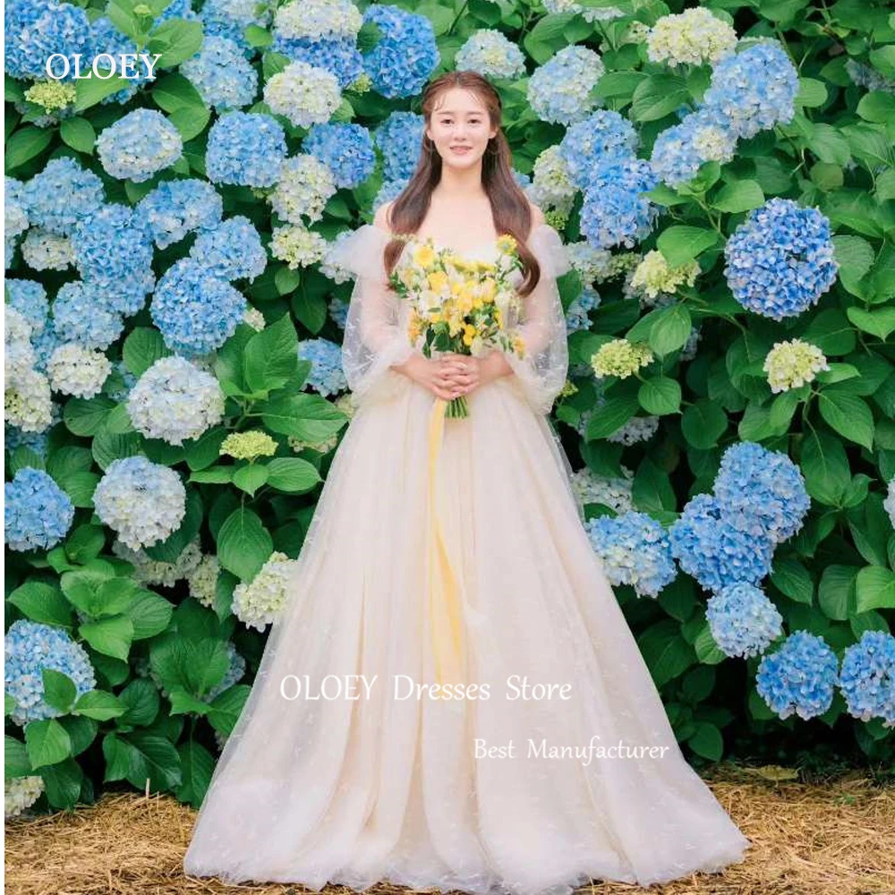 Oloey Eenvoudige Tule A Lijn Trouwjurken Korea Fotoshoot Bladerdeeg Lange Mouwen Liefje Elegante Bruidsjurken Tuin