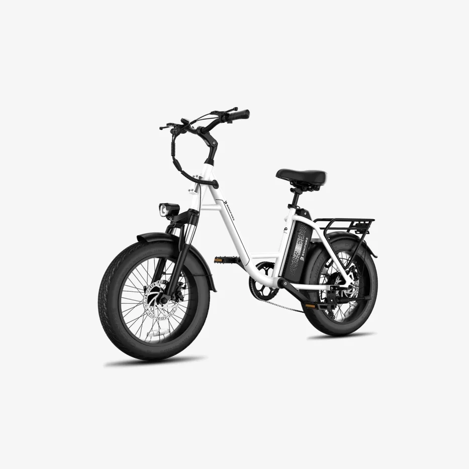 

White LUCKEEP C27 20" Step-Thru Cargo Electric Bike 750W(1200W Peak) Motor 48V 13Ah Battery