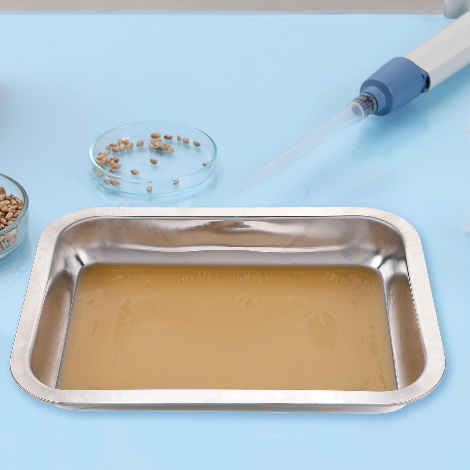 

Stainless Steel Dissection Polished Safe Surface For Biological Experiment Lab Research Teaching Tools Medical Tray Laboratory