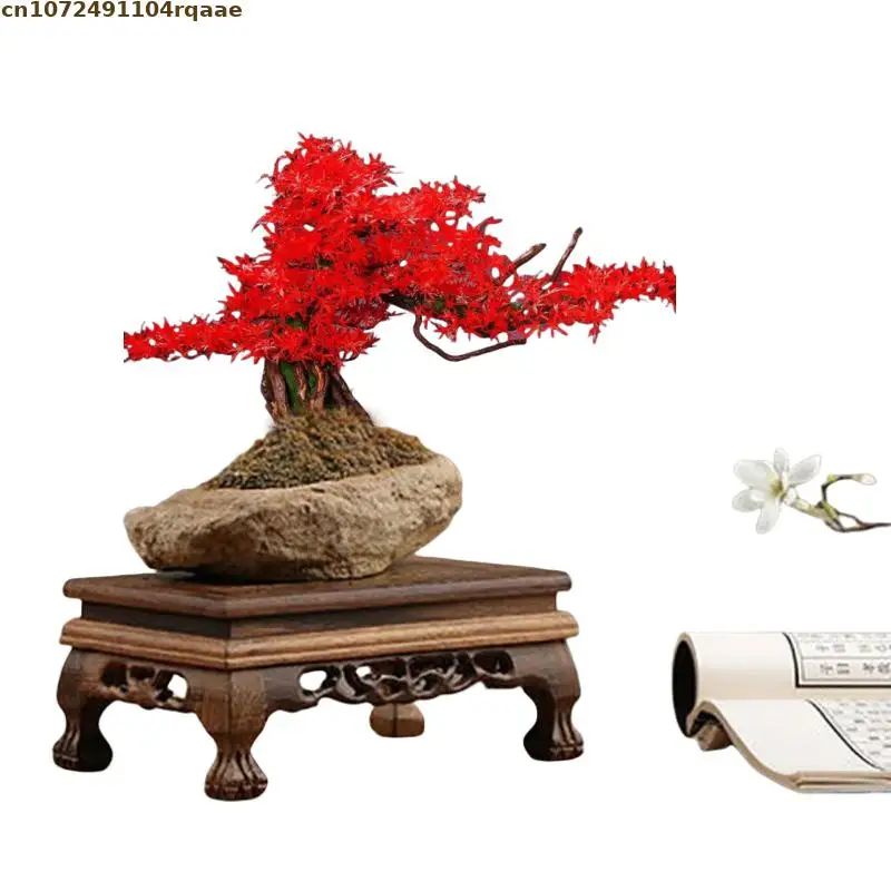 Table de tri en bois massif naturel, ensembles de thé, échafaudage de plantes sur piédestal, base de fleurs debout, étagère de plante bonsaï, vase, support de pot de fleur