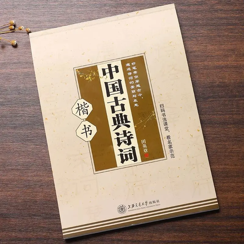 Chinese Classical Poetry Tian Yingzhang Regular Script Copybook Practice Daodejing Diamond Sutra Adult College Students Hard