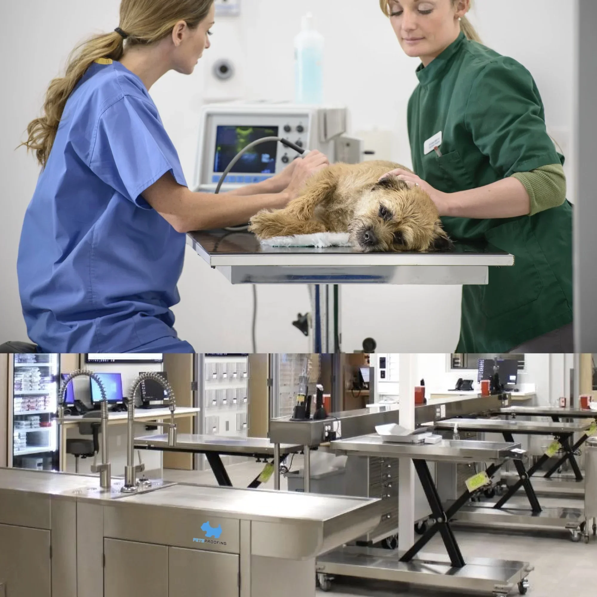 Practical Durable Veterinary Electric  Stainless Steel Pet Medical Diagnosis Supplies