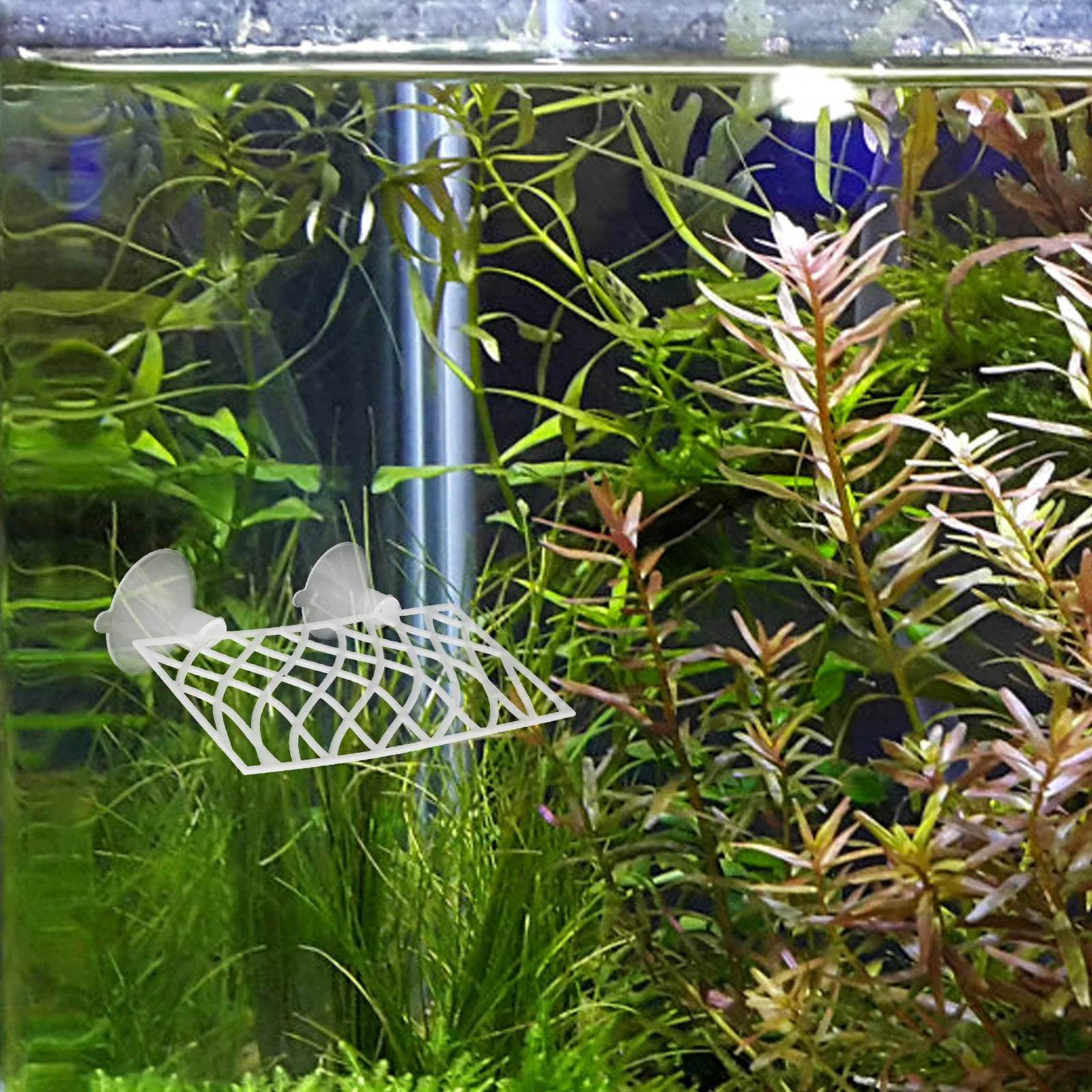 

Fish Tank Decor Betta Fish Cave Hollow Tunnel Bed Aquarium Ornaments Shrimp Tunnel Decorations Easy ABS Unique Design