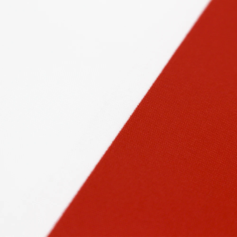 Bandera Polonia bordada Thuringia – Banderín militar surplus - imagen 4