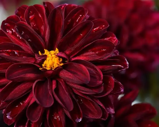 

Наземная станция SIYI MK32 Enterprise | 7-дюймовый HD-сенсорный экран, сертифицирован CE/FCC, дальность действия 15 км – для промышленных дронов и БПЛА