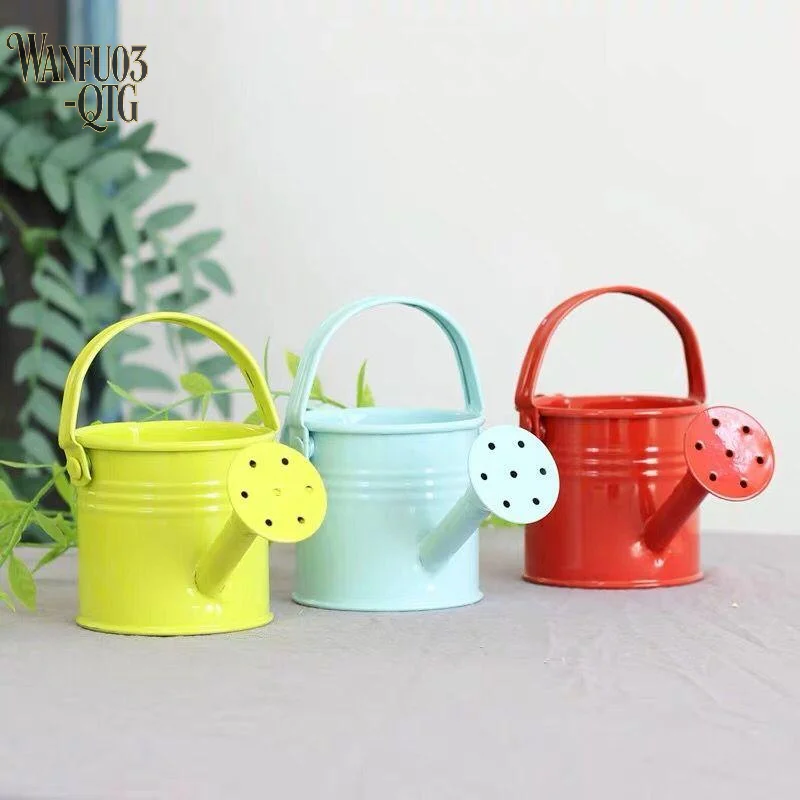 Hot Sale Hot Metal Watering Can Garden Flower Kettle Mini Small Water Spraying Pot Large Capacity For Kids Adult