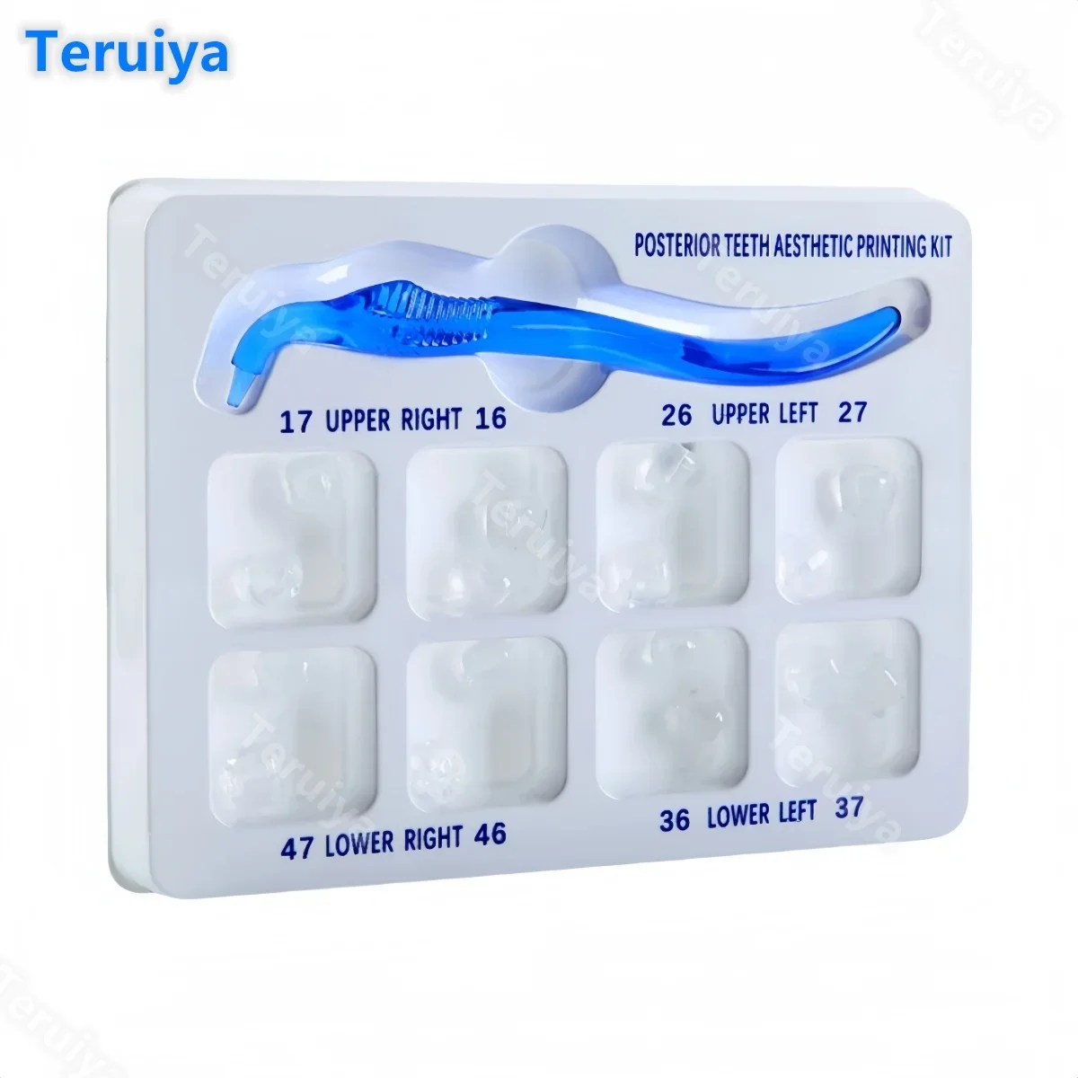 16Pcs/Box High-End Dental Posterior Teeth Mould Kit - Resin Reshape Fissure Stamp for Aesthetic Restoration & Filling