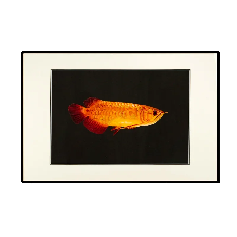 Handmade Suzhou embroidery high-end restaurant painting dragon fish to attract wealth mulberry silk Suzhou embroidery