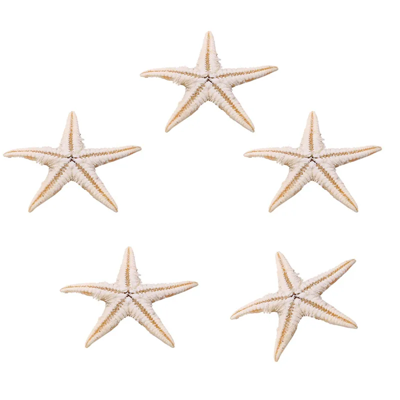 100 Pcs/pack New Simulation Natural Starfish Micro Landscape Decoration Hanging Photo Frames Candles Handicrafts Home Accessory