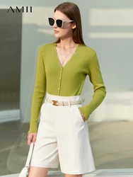 Amii Minimalist Spring Women Knitted Tops Office Lady V Neck Full Sleeve Thin Cardigan Solid Women Sweater Female Tops 12230157