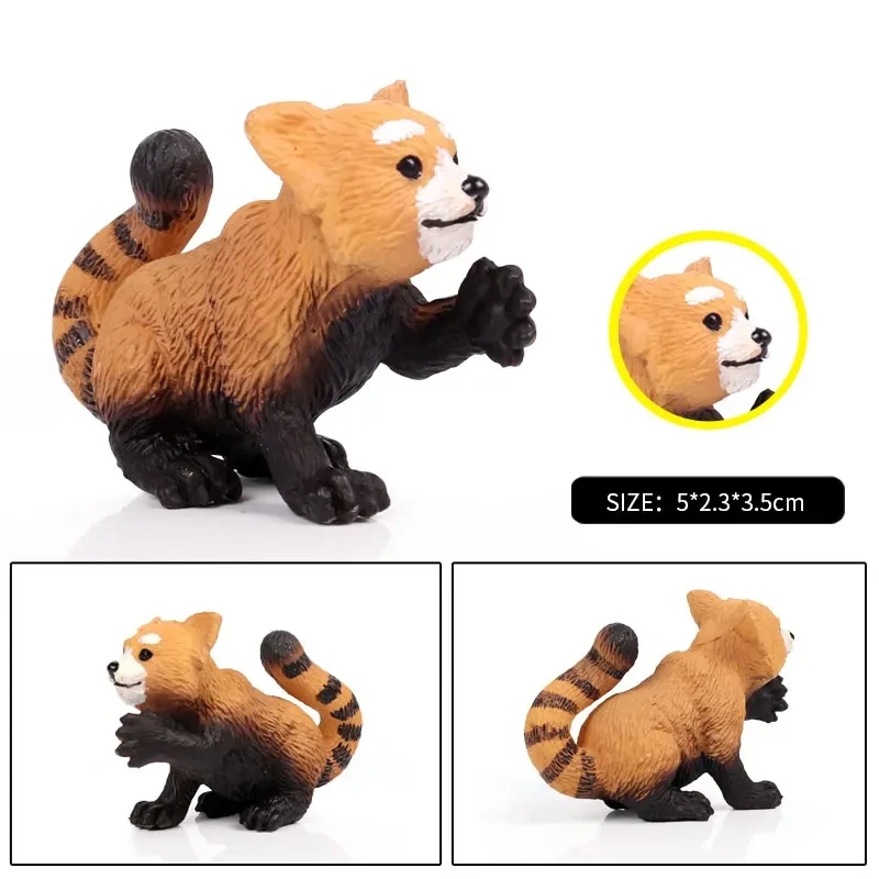 Oenux Simulation Wilde Figuren Weniger Panda Waschbär Lemur Modell Action-figuren Wald Tiere Hause Bildung Kinder Spielzeug Geschenk – Detail 4
