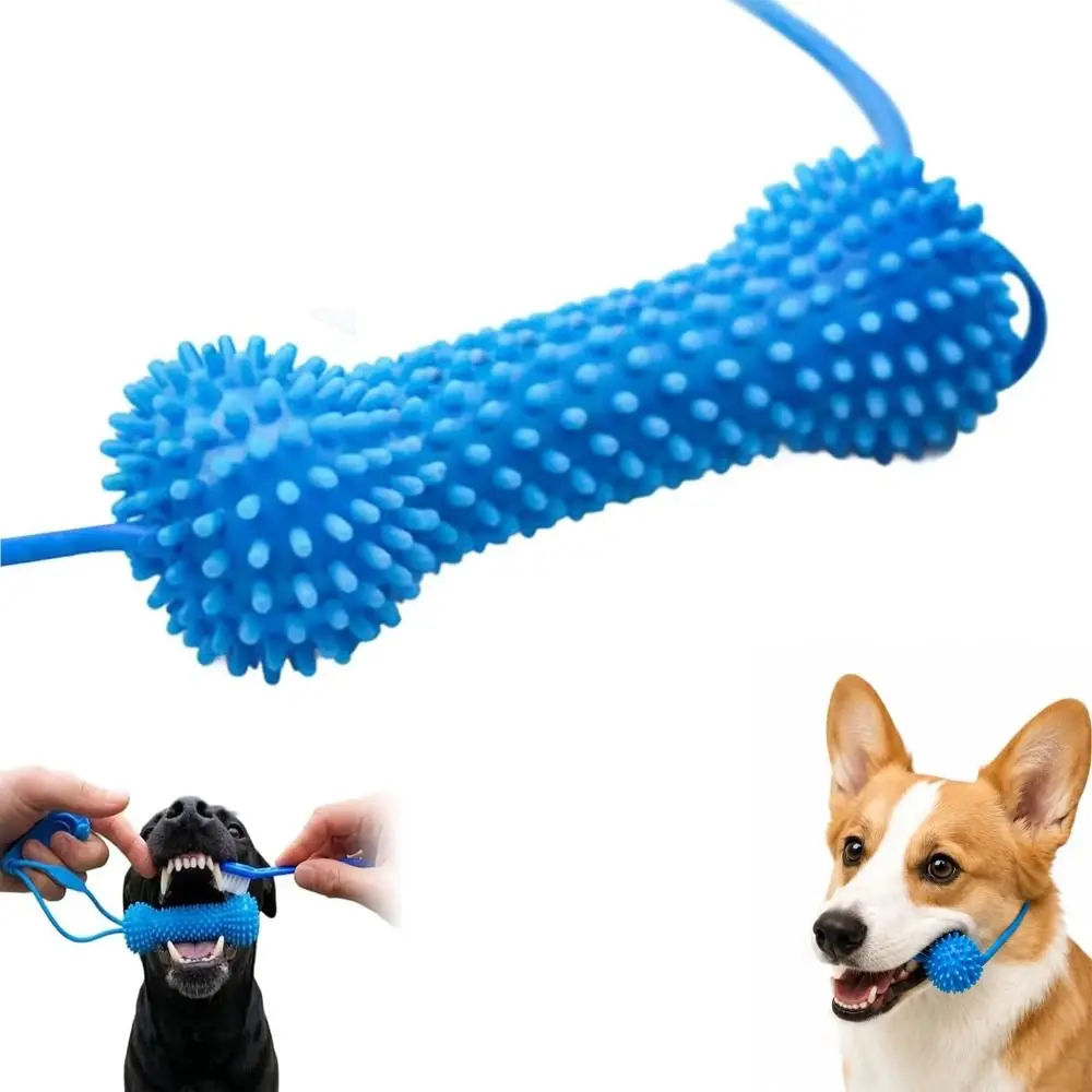 Bâtonnet dentaire canin à double action avec brosse à dents en silicone, en PVC, prévient la carie dentaire, jouet à mâcher pour chiens, brossage rapide